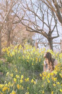 amongst the flowers